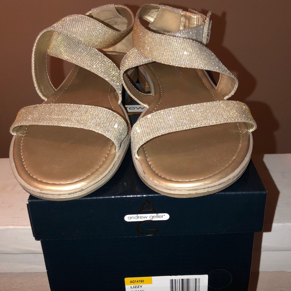 Silver and Gold Sandals